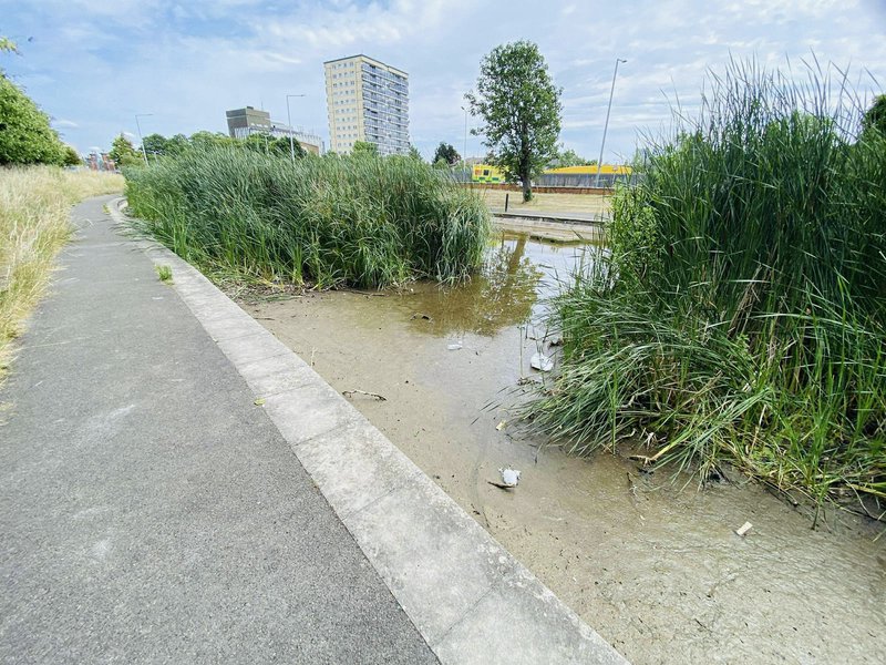 Pymmes Park Pond: A Monumental Moment for Community Action